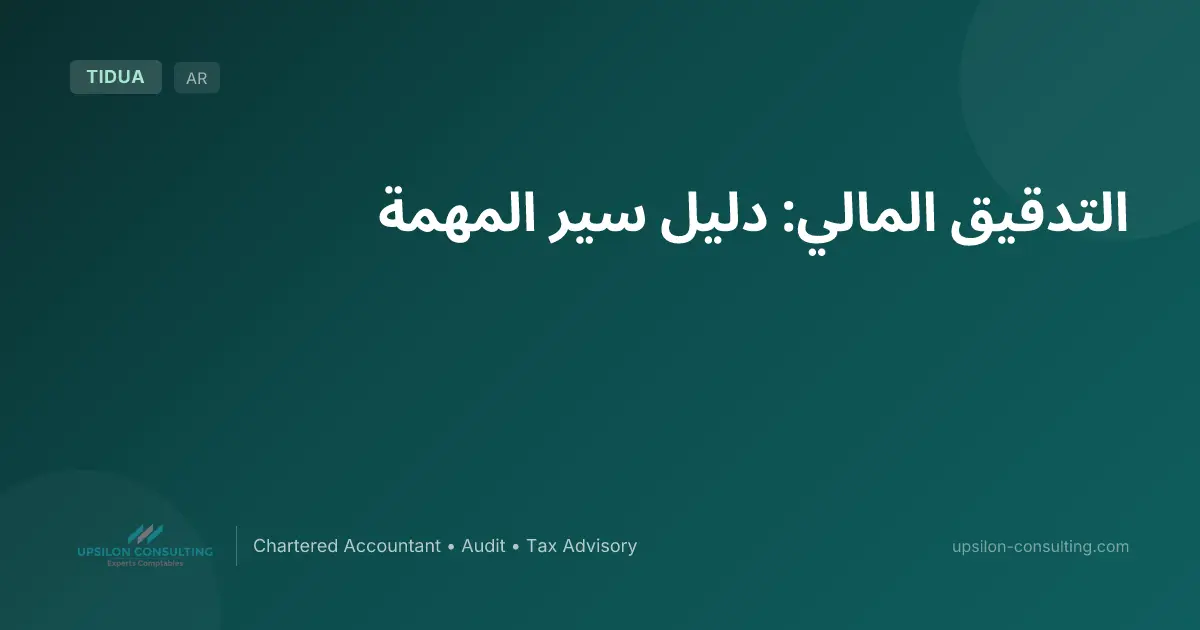 التدقيق المالي: دليل سير المهمة