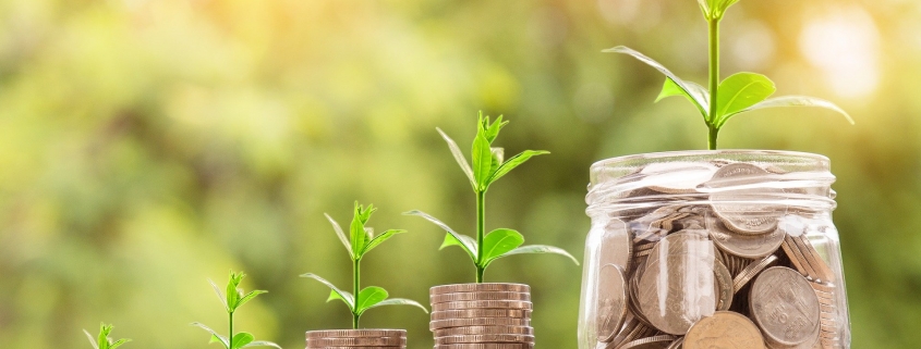 fiscaliste consultant fiscal