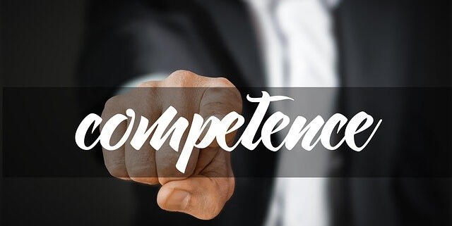 consultant fiscal